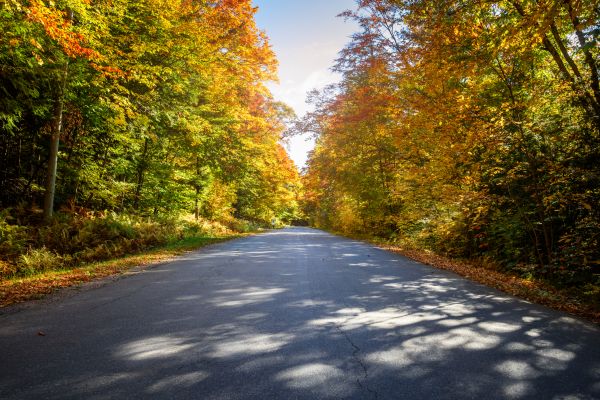 Cost of Blacktop Replacement in Ballwin
